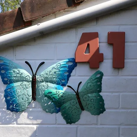 Bergh & Duin - Lakens, Elektriciteit En Water Inbegrepen * De Panne