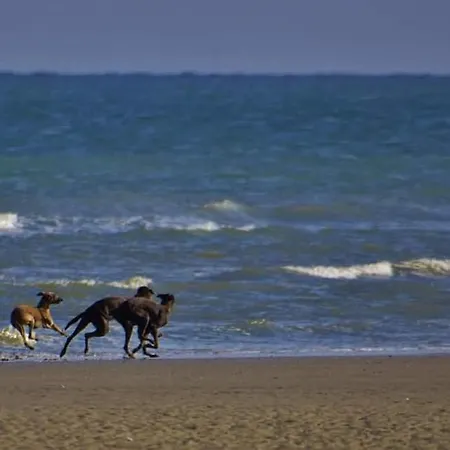 Bergh & Duin - Lakens, Elektriciteit En Water Inbegrepen